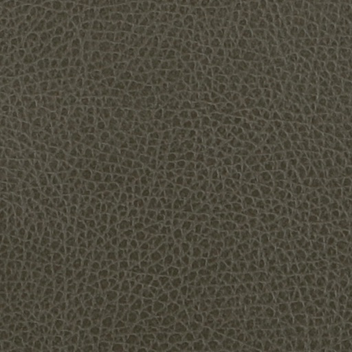 LODEN 422